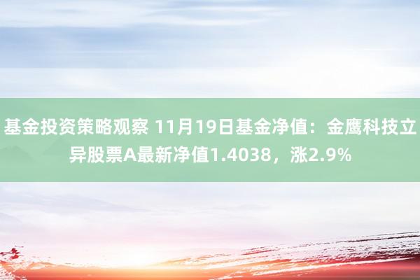 基金投资策略观察 11月19日基金净值：金鹰科技立异股票A最新净值1.4038，涨2.9%