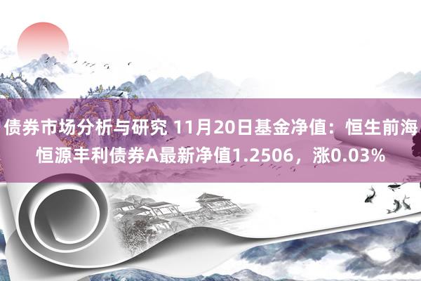 债券市场分析与研究 11月20日基金净值：恒生前海恒源丰利债券A最新净值1.2506，涨0.03%