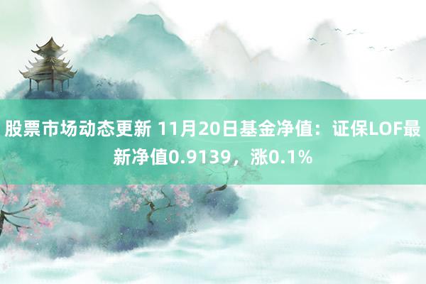 股票市场动态更新 11月20日基金净值：证保LOF最新净值0.9139，涨0.1%