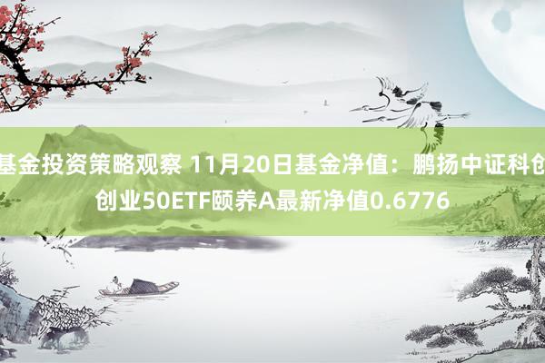 基金投资策略观察 11月20日基金净值：鹏扬中证科创创业50ETF颐养A最新净值0.6776