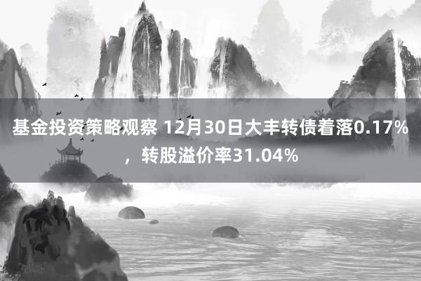 基金投资策略观察 12月30日大丰转债着落0.17%，转股溢价率31.04%