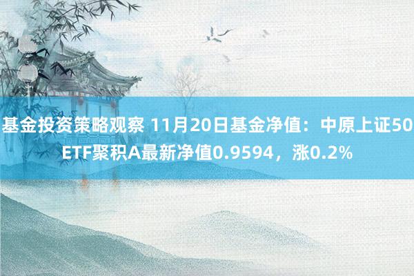 基金投资策略观察 11月20日基金净值：中原上证50ETF聚积A最新净值0.9594，涨0.2%