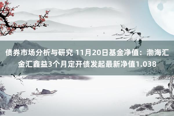 债券市场分析与研究 11月20日基金净值：渤海汇金汇鑫益3个月定开债发起最新净值1.038