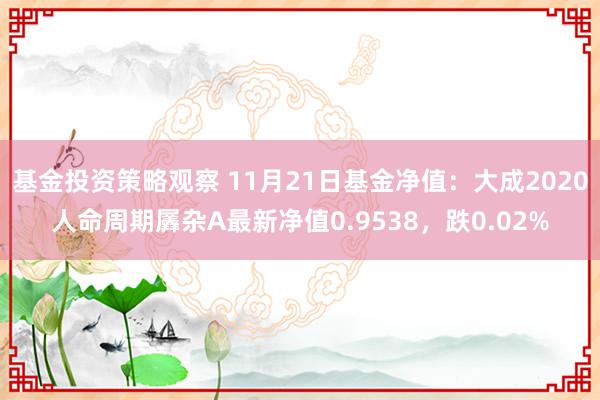 基金投资策略观察 11月21日基金净值：大成2020人命周期羼杂A最新净值0.9538，跌0.02%