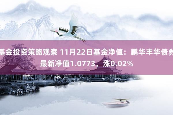 基金投资策略观察 11月22日基金净值：鹏华丰华债券最新净值1.0773，涨0.02%