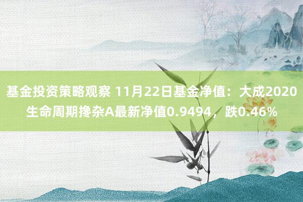 基金投资策略观察 11月22日基金净值：大成2020生命周期搀杂A最新净值0.9494，跌0.46%