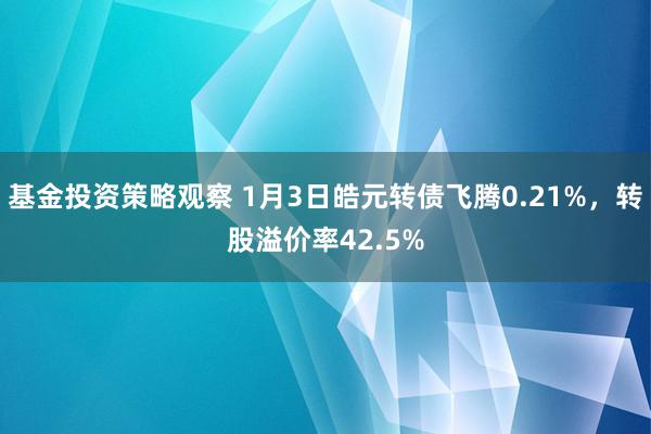 基金投资策略观察 1月3日皓元转债飞腾0.21%，转股溢价率42.5%