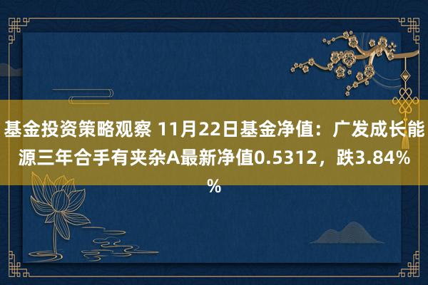 基金投资策略观察 11月22日基金净值：广发成长能源三年合手有夹杂A最新净值0.5312，跌3.84%