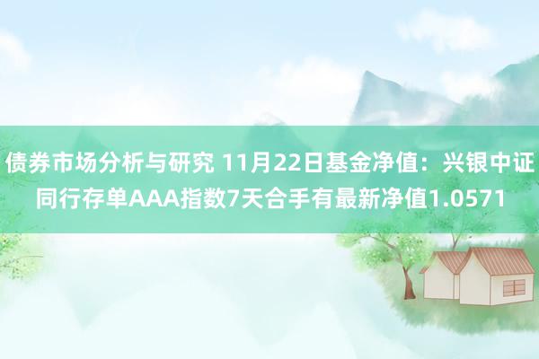 债券市场分析与研究 11月22日基金净值：兴银中证同行存单AAA指数7天合手有最新净值1.0571