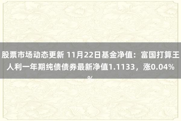 股票市场动态更新 11月22日基金净值：富国打算王人利一年期纯债债券最新净值1.1133，涨0.04%