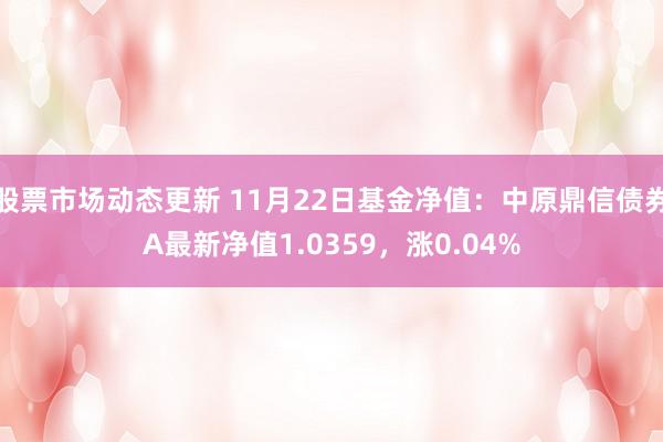 股票市场动态更新 11月22日基金净值：中原鼎信债券A最新净值1.0359，涨0.04%