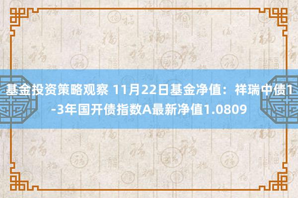 基金投资策略观察 11月22日基金净值：祥瑞中债1-3年国开债指数A最新净值1.0809