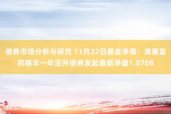 债券市场分析与研究 11月22日基金净值：清廉富邦稳丰一年定开债券发起最新净值1.0708