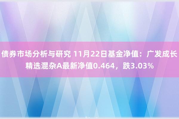 债券市场分析与研究 11月22日基金净值：广发成长精选混杂A最新净值0.464，跌3.03%