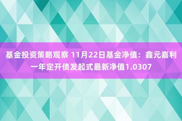 基金投资策略观察 11月22日基金净值：鑫元嘉利一年定开债发起式最新净值1.0307