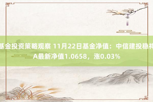 基金投资策略观察 11月22日基金净值：中信建投稳祥A最新净值1.0658，涨0.03%