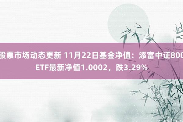 股票市场动态更新 11月22日基金净值：添富中证800ETF最新净值1.0002，跌3.29%