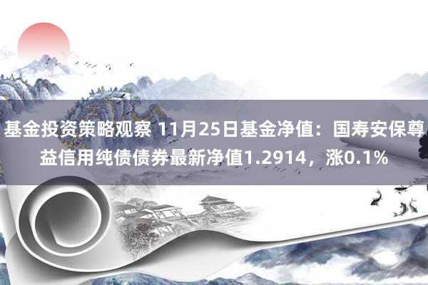 基金投资策略观察 11月25日基金净值：国寿安保尊益信用纯债债券最新净值1.2914，涨0.1%