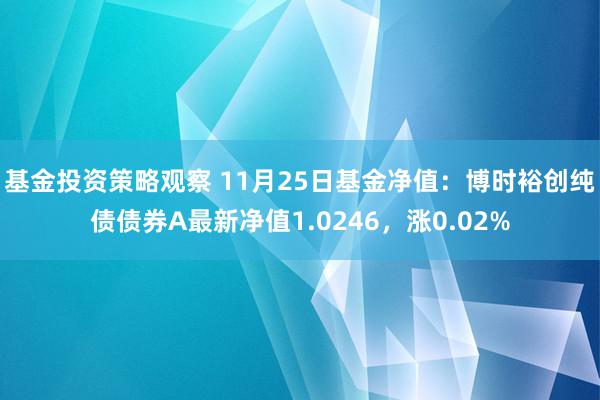 基金投资策略观察 11月25日基金净值：博时裕创纯债债券A最新净值1.0246，涨0.02%