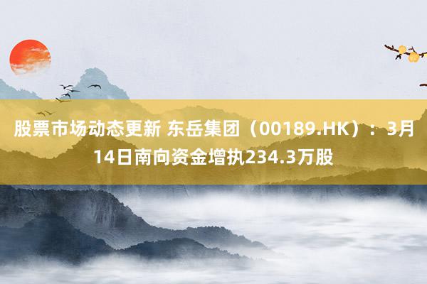 股票市场动态更新 东岳集团（00189.HK）：3月14日南向资金增执234.3万股