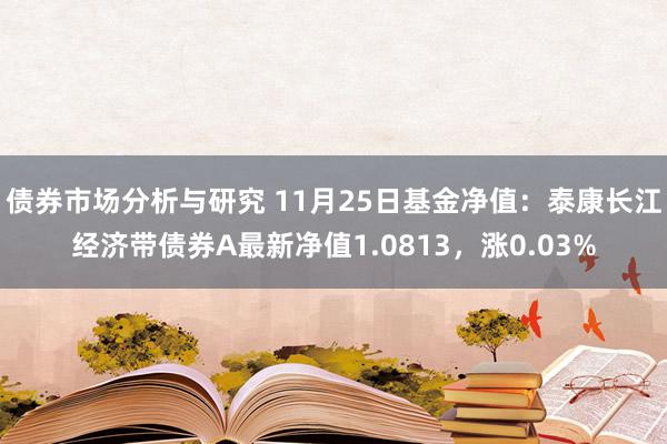 债券市场分析与研究 11月25日基金净值：泰康长江经济带债券A最新净值1.0813，涨0.03%