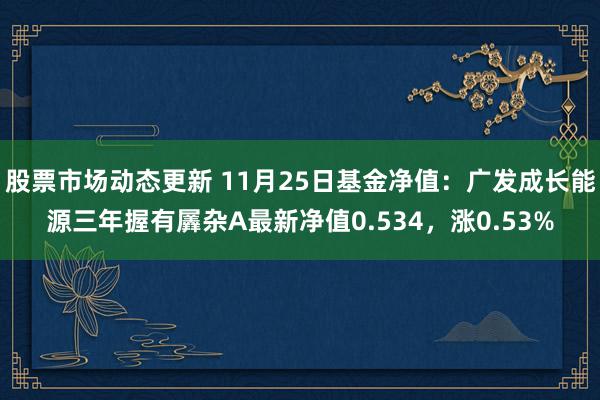 股票市场动态更新 11月25日基金净值：广发成长能源三年握有羼杂A最新净值0.534，涨0.53%