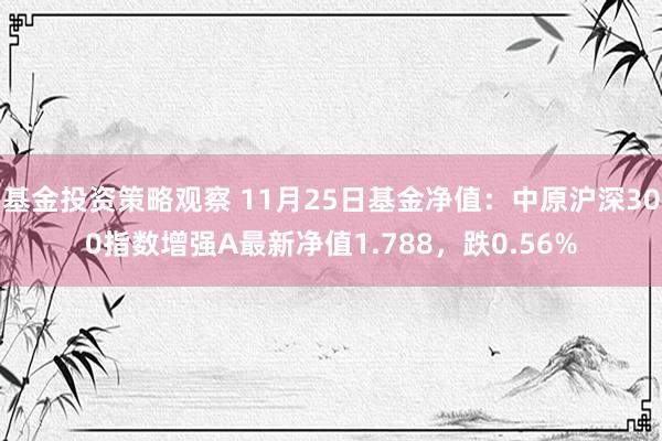 基金投资策略观察 11月25日基金净值：中原沪深300指数增强A最新净值1.788，跌0.56%