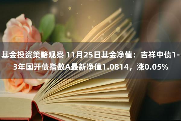 基金投资策略观察 11月25日基金净值：吉祥中债1-3年国开债指数A最新净值1.0814，涨0.05%