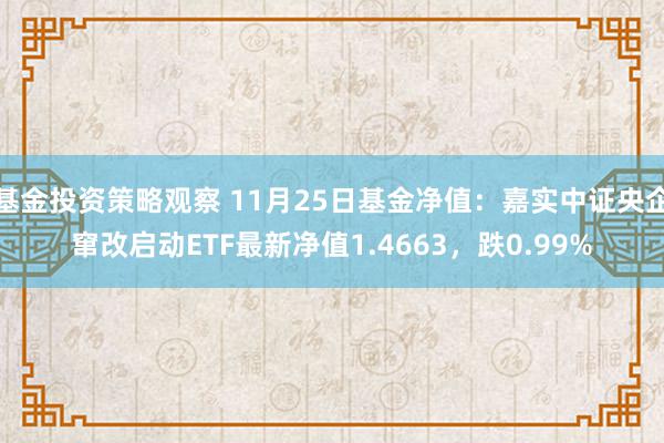 基金投资策略观察 11月25日基金净值：嘉实中证央企窜改启动ETF最新净值1.4663，跌0.99%