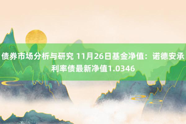 债券市场分析与研究 11月26日基金净值：诺德安承利率债最新净值1.0346