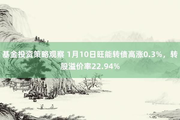 基金投资策略观察 1月10日旺能转债高涨0.3%，转股溢价率22.94%