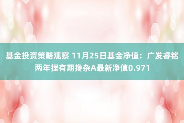 基金投资策略观察 11月25日基金净值：广发睿铭两年捏有期搀杂A最新净值0.971